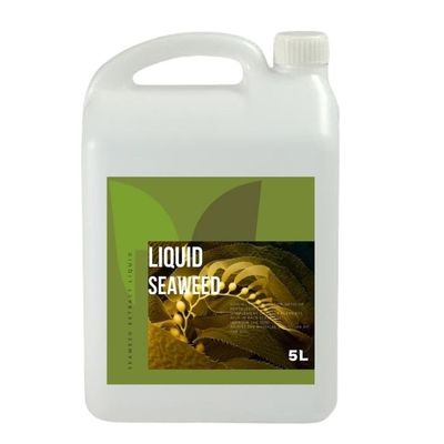 OMRI 30g/L Fe Liquid Seaweed Extract Fertilizer