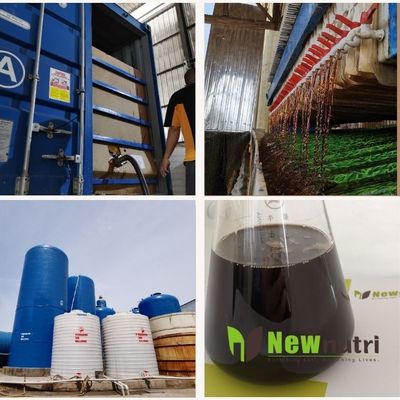Alginic Acid Zinc Liquid Seaweed Extract Fertilizer