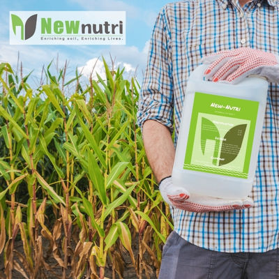 OMRI Liquid NPK 80-220-450 Seaweed Extract Fertilizer