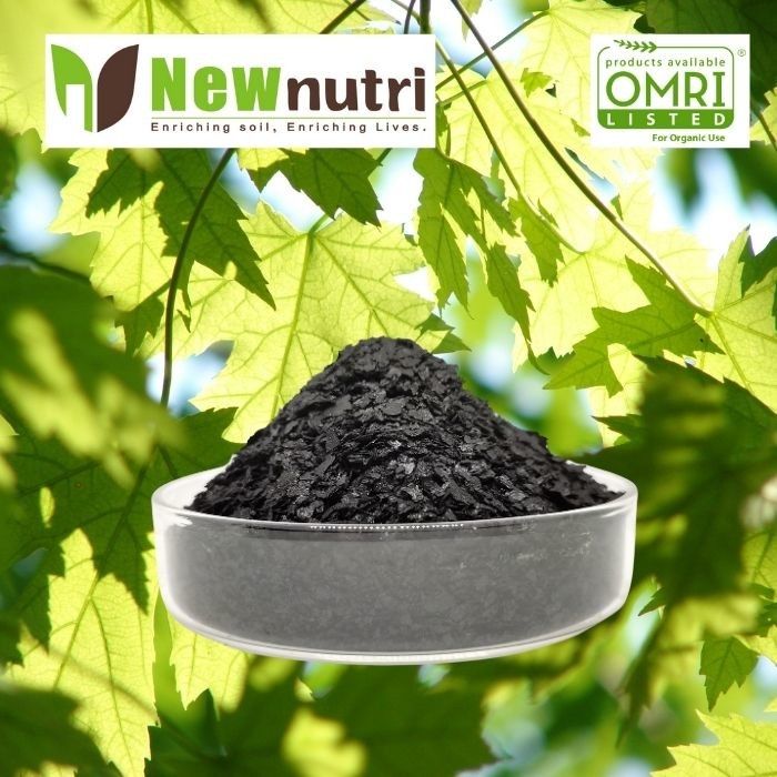 5% Phosphorus 18% Potassium Seaweed Extract Powder Fertilizer