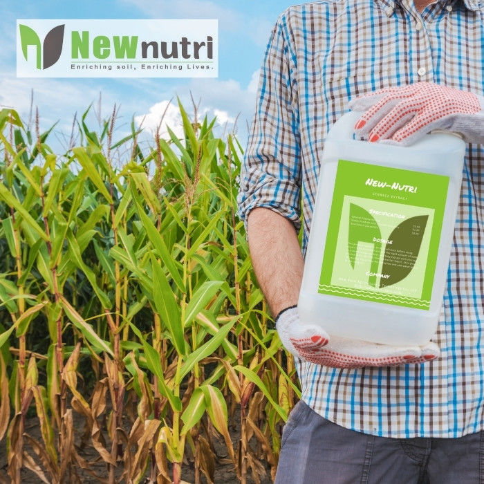 OMRI Liquid NPK 80-220-450 Seaweed Extract Fertilizer